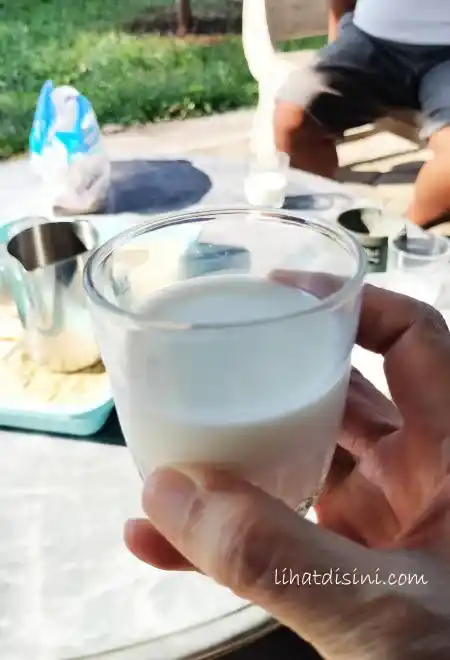 susu kambing segar