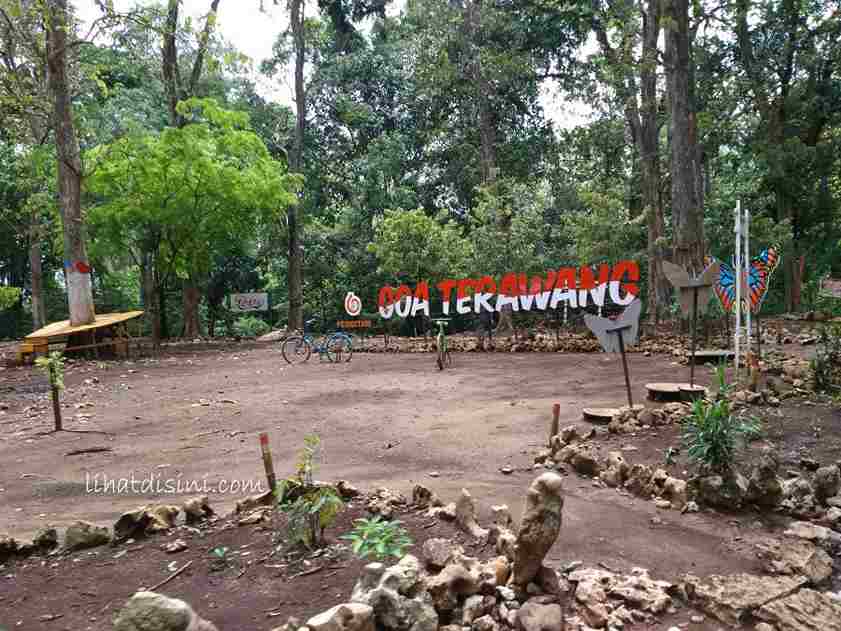 Goa Terawang Blora, Wisata Alam di Tengah Hutan Jati
