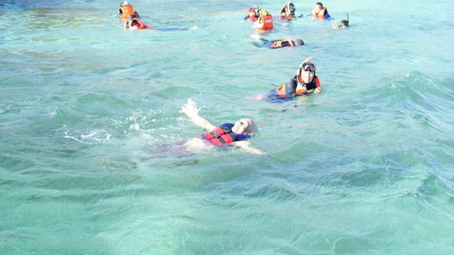 snorkeling di dekat pantai pink