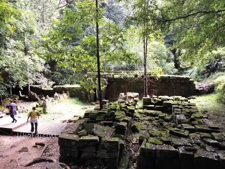 hutan di sekitar kuil baphuon