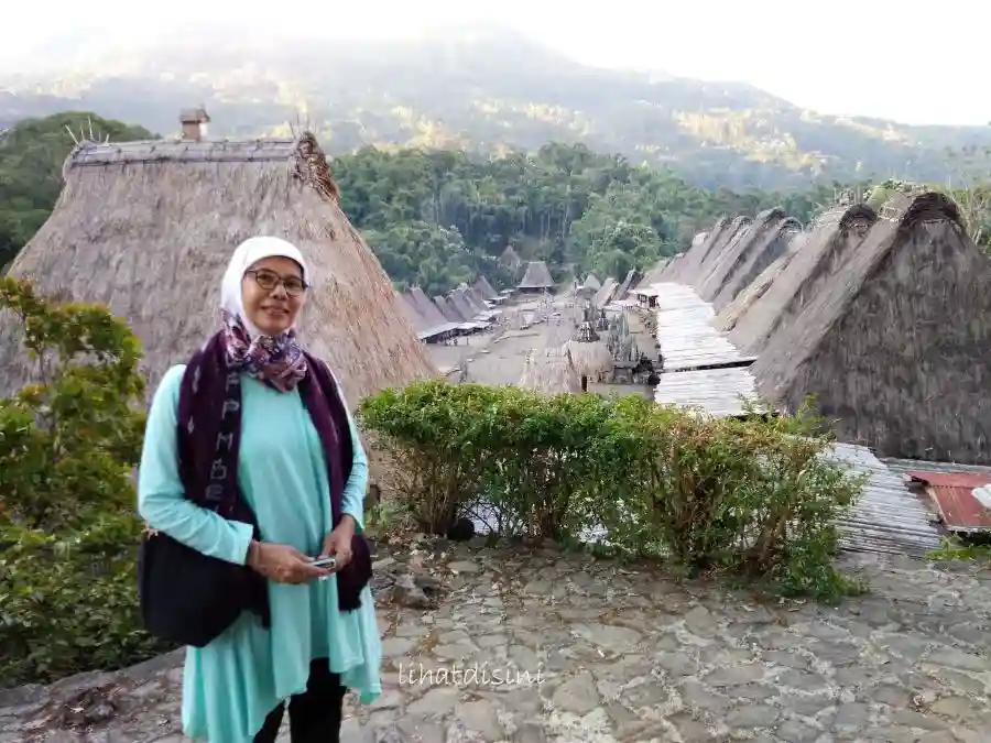 pemandangan ke kampung adat bena