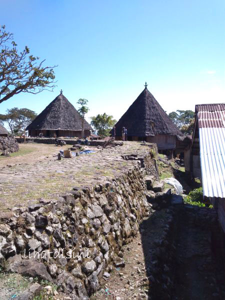 kampung adat ruteng pu'u