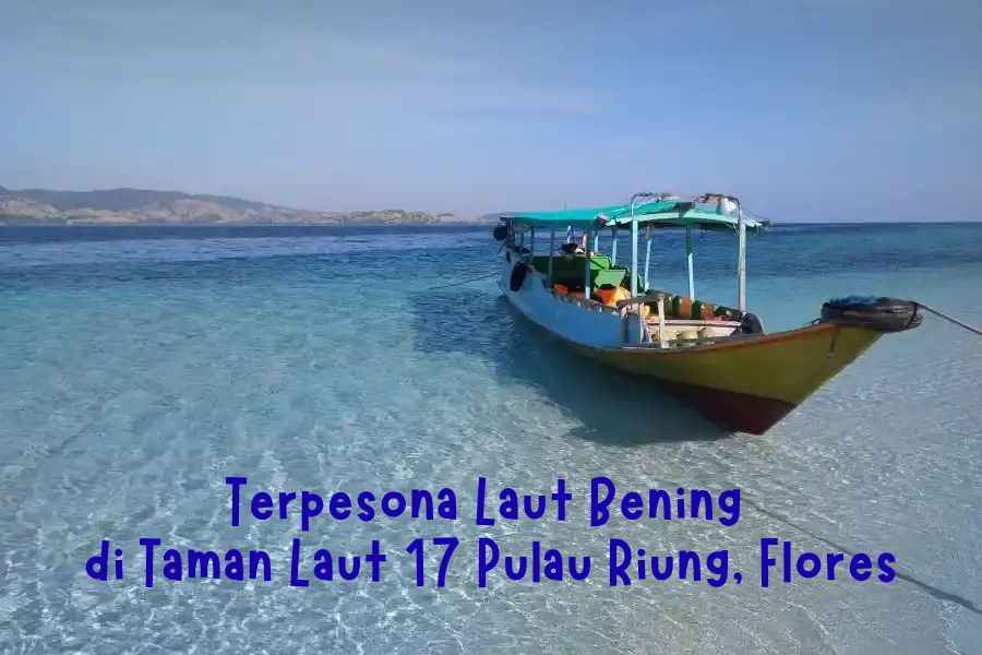Terpesona Laut Bening di Taman Laut 17 Pulau Riung, Flores