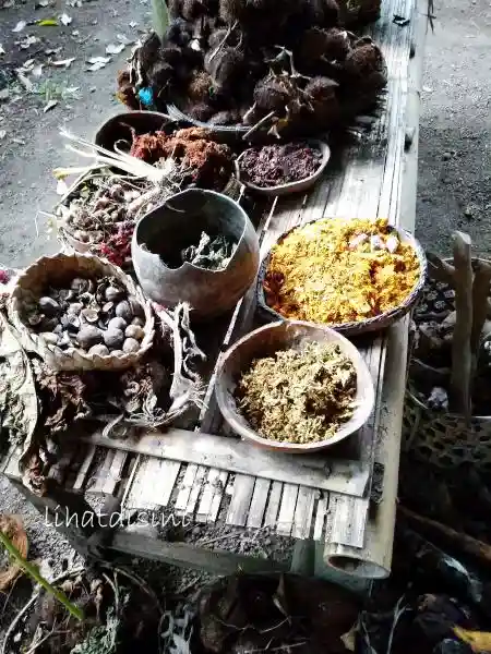 berbagai pewarna alami