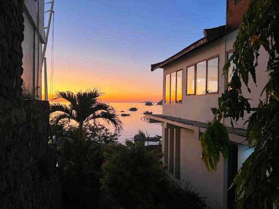 blue parrot labuan bajo