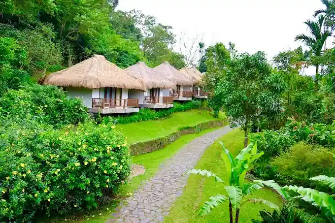 ecolodge